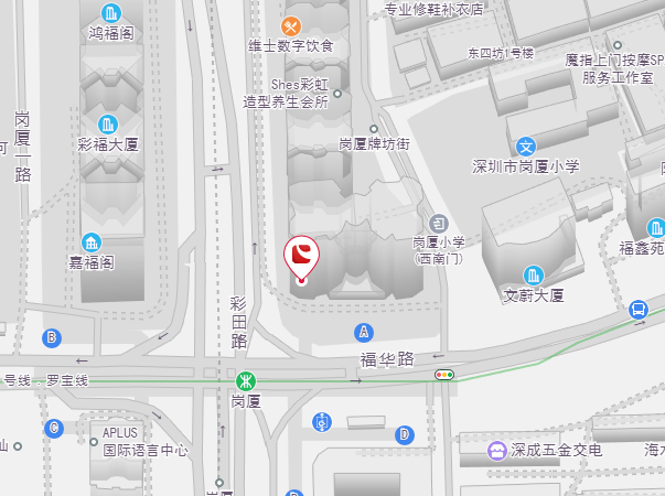 pp电子模拟器